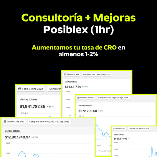 Consultoría de Conversión Posiblex (1 hr)